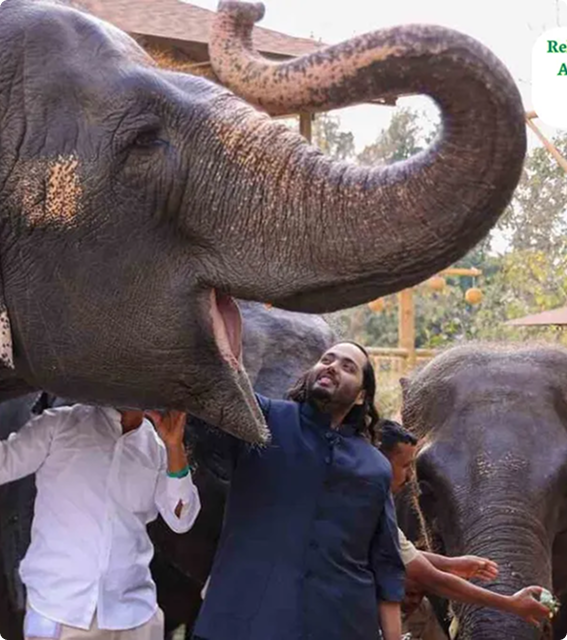 How Maanicare Built A Mega-Kitchen For 200+ Gentle Giants